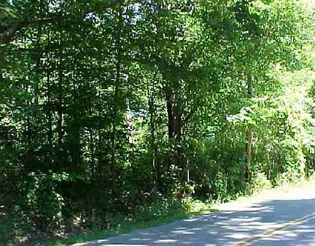2nd image of EASTLINE Road