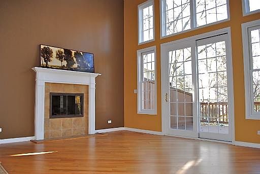 Gas starter/gas logs fireplace