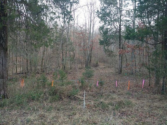 Entrance to property