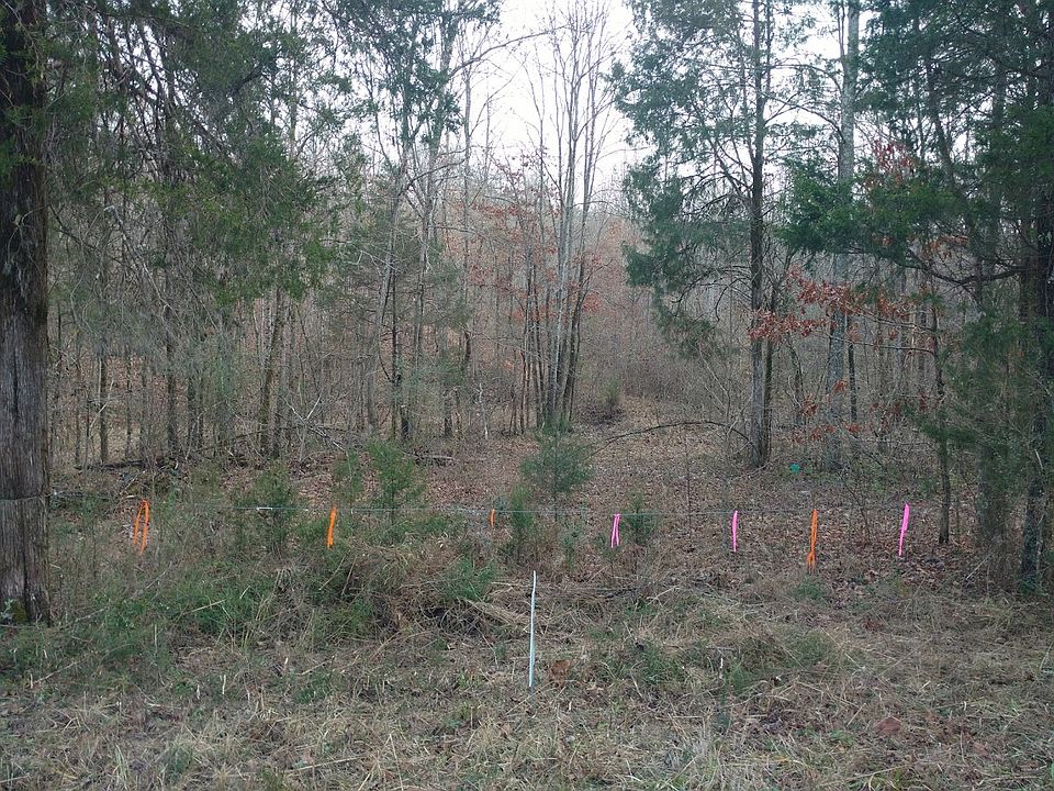 Entrance to property