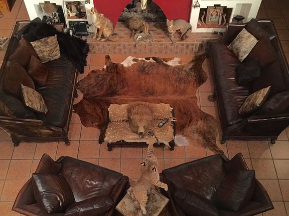 Living room gas fireplace 