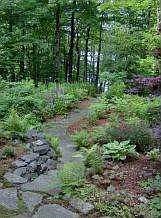 path to the lake