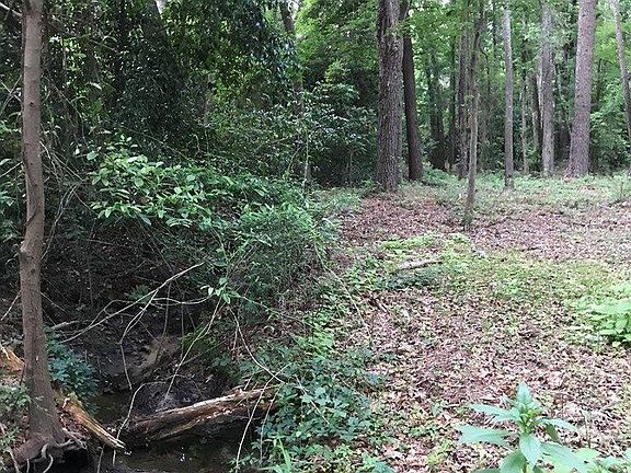 5th image of 1 Whitemarsh Dr
