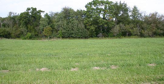 1st image of 17-198R Lake Carroll Blvd