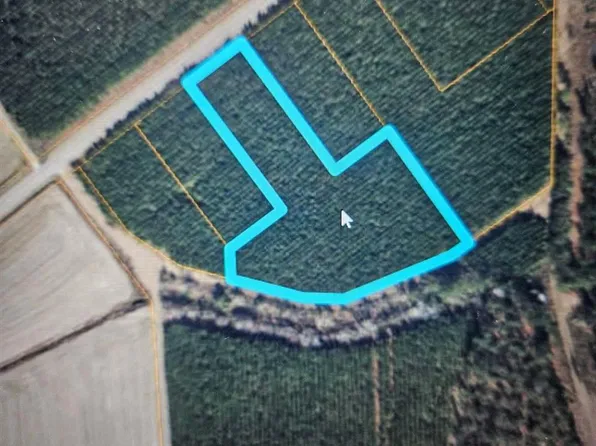 Tbd Highway 45, Loris, SC 29569