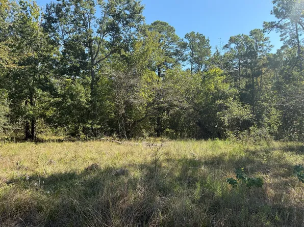 Shadowood 2 Ln Lot 73, Coldspring, TX 77331