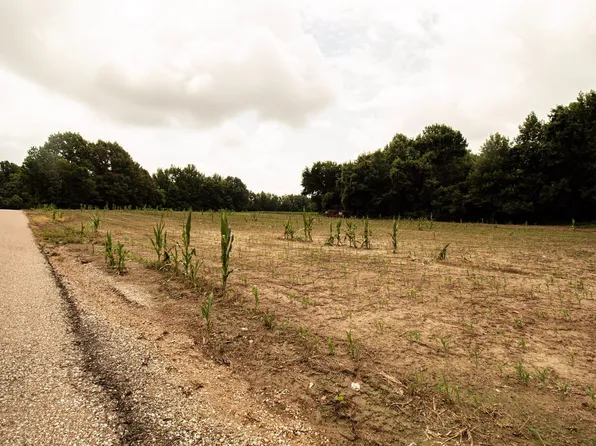 Mae Sigma Rd, Brighton, TN 38011