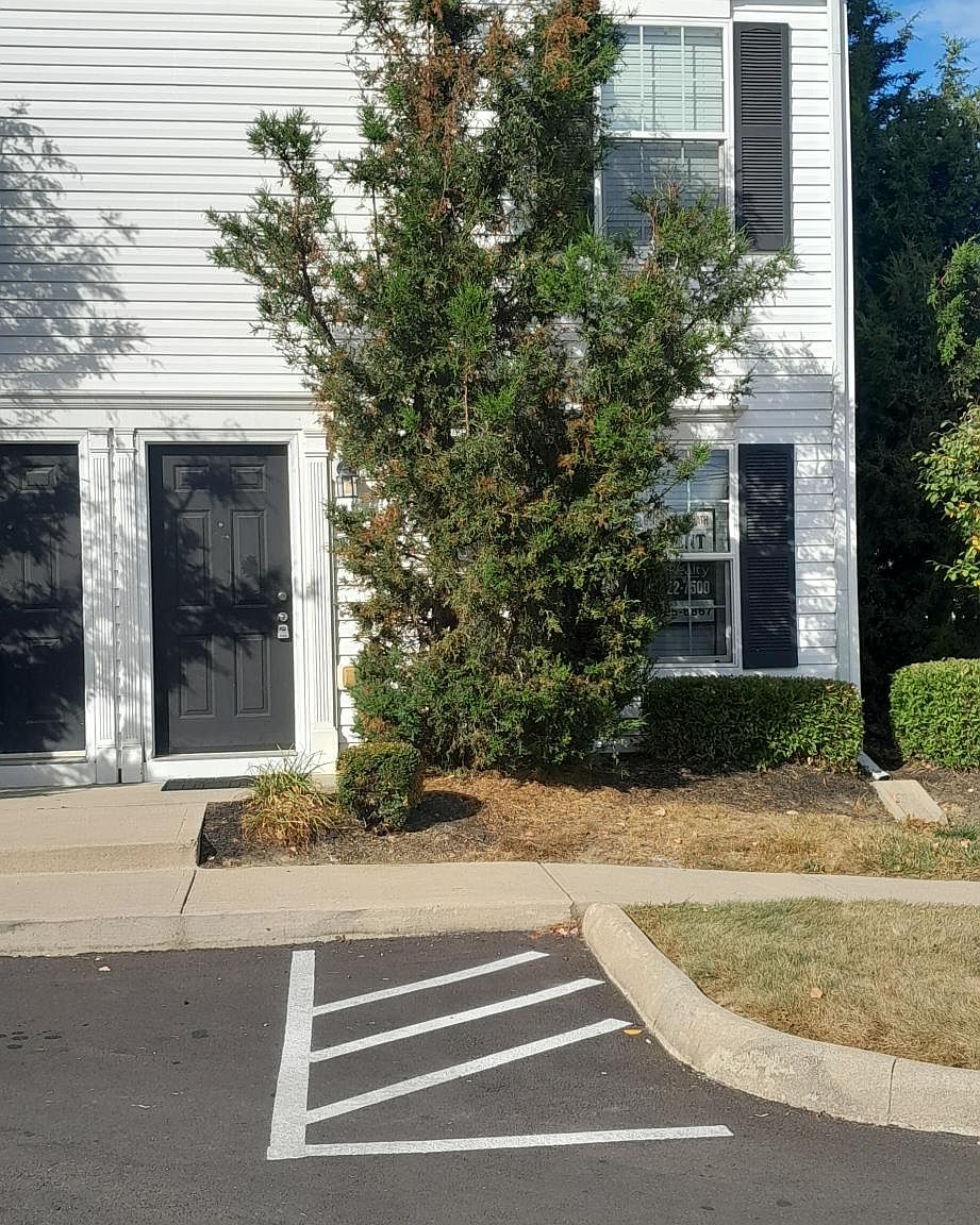 826 Grand Cayman Dr 1, Columbus, OH 43085 Zillow