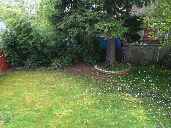 back yard