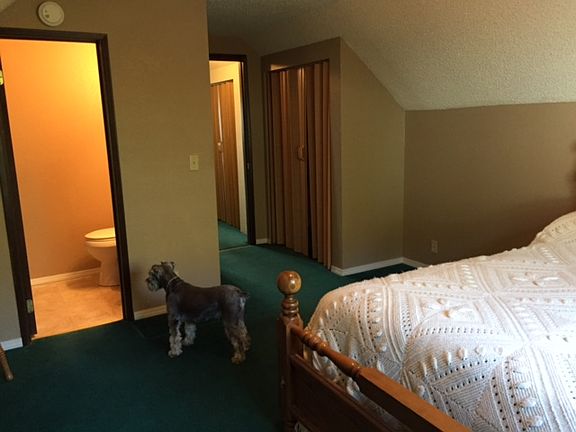 3rd floor  bed/ 1/2 bath