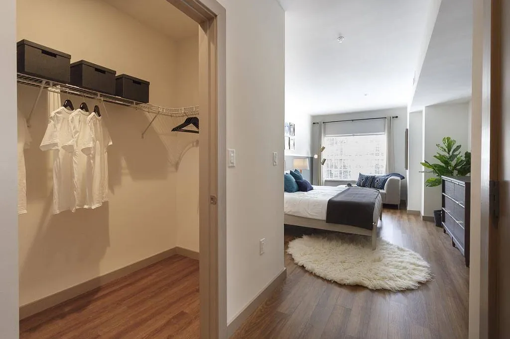 2 bed, 2.0 bath, $3,700 — Photo 3