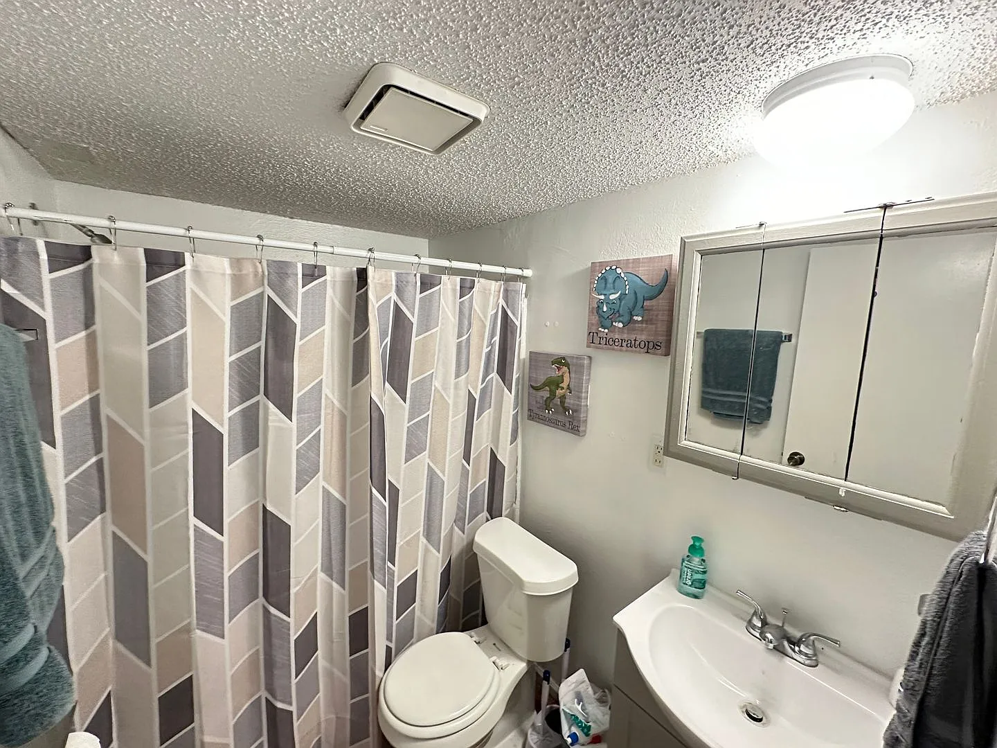 True 1 Bedroom Overlooking Doak Campbell — Photo 4