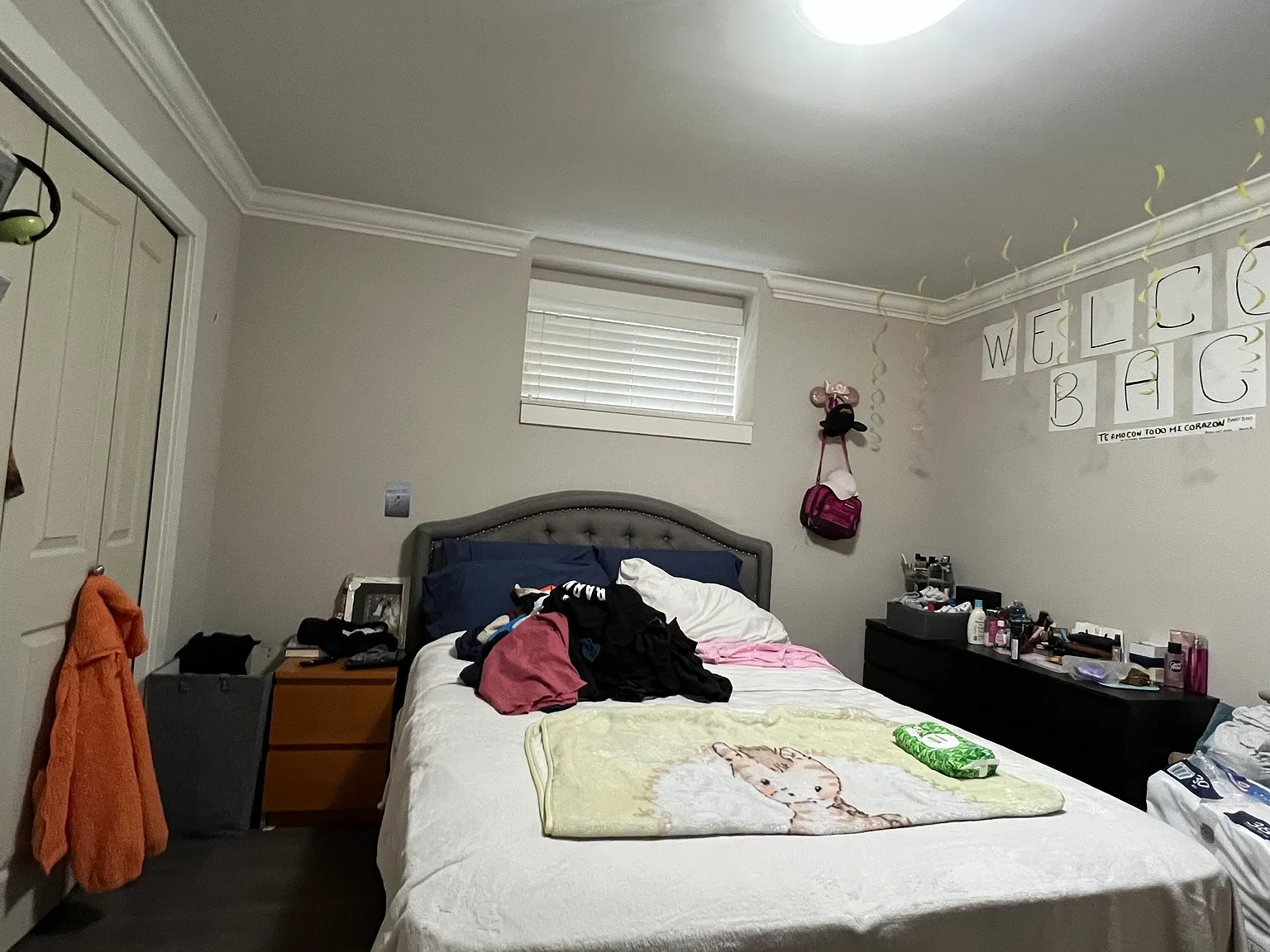 1 bed, 650 sqft, $1,600 — Photo 4