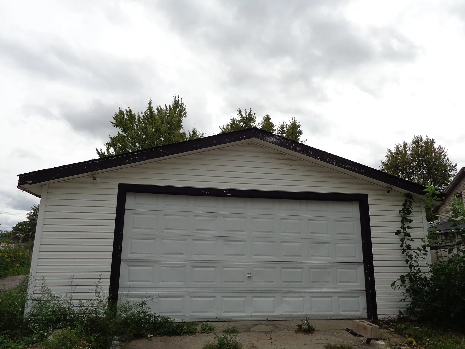 3 bed, 1364 sqft, $1,090 — Photo 3