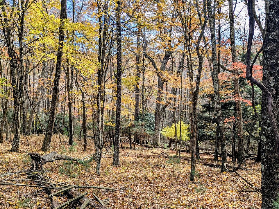 52nd image of this home