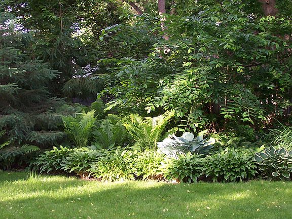 Woodland privacy, no alley!
