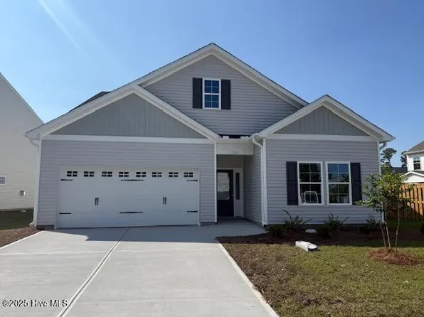 2310 Flowery Branch Drive Lot 253, Castle Hayne, NC 28429