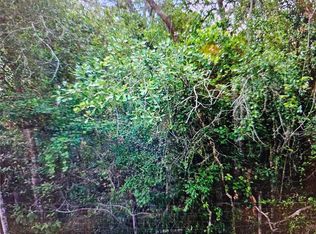 0 Lisbon St Lot 440, New Pt Richey, FL 34654