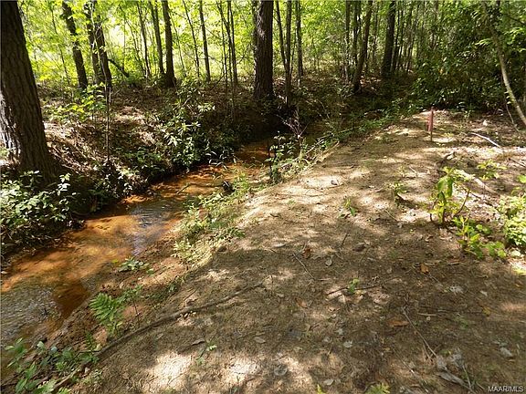 4th image of County Road 61