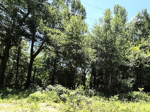 4th image of 1505 Vz County Road 4112