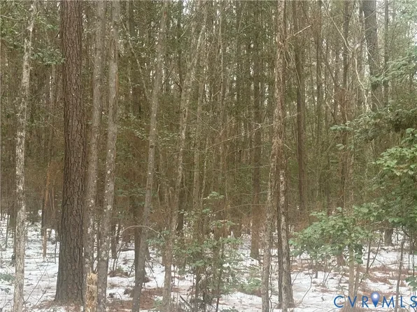 Sandy Point Rd Lot 18.85, Charles City, VA 23030