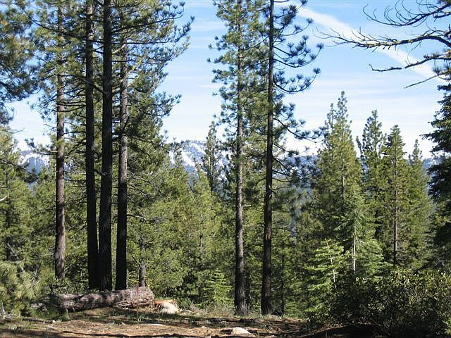 1st image of 12007 Cavern Way #Lot45