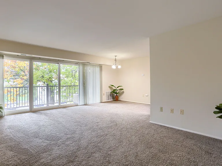 1 Bedroom Standard Large Room