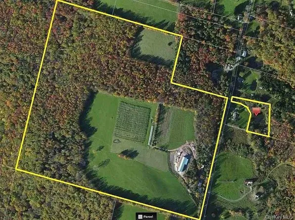 229 Menges Road, Livingston Manor, NY 12758