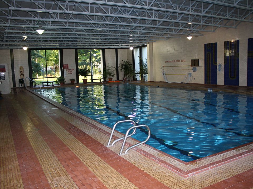 The indoor above ground swimming / lap pool (30' by 65').