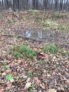 4th image of 30 Ac Hwy #171