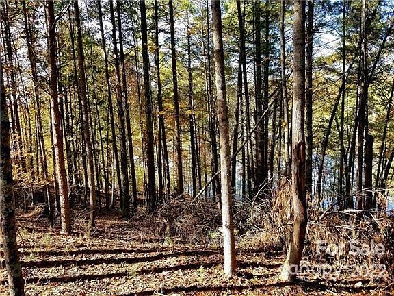 4th image of 40 Peaceful Cove Ct