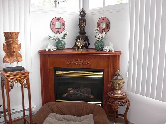 Sunroom gas fireplace 