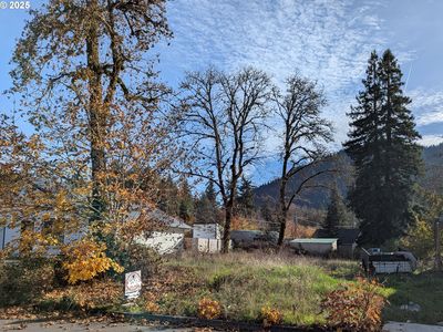 48382 Roaring Rapids Way, Oakridge, OR, 97463