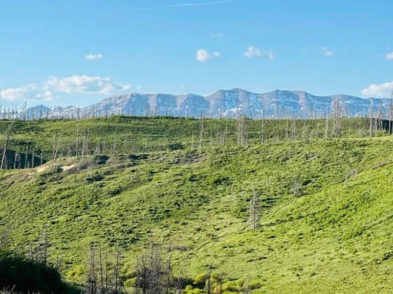 Gros Ventre Dr — Photo 2