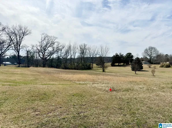 0 Oakview Way Unit 20, Roanoke, AL 36274