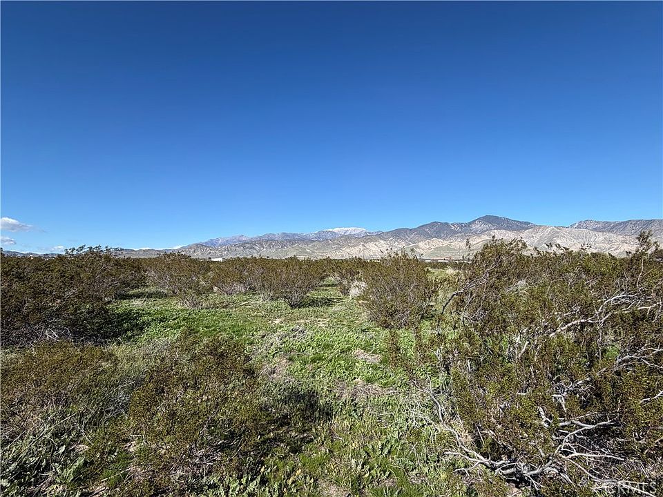 2nd image of LOT 93rd Ml #34/068