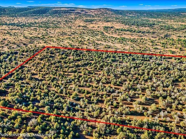 8602 N Ten Tanks Rd, Williams, AZ 86046