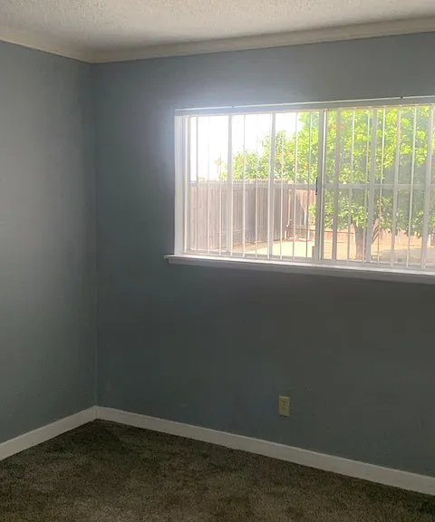 1219 Pino Solo Dr — Photo 7