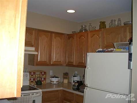 4th image of 2838 Van Alstyne St