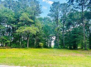 261 W Winding Way LOT 922, Wallace, NC 28466