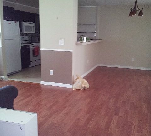 4th image of 10878 Wheaton Ct