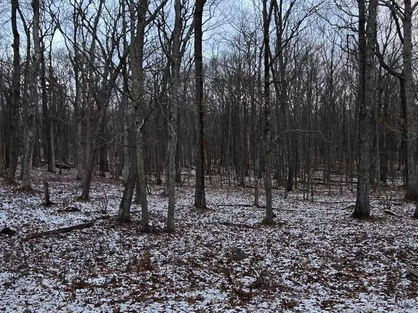 Ledgeway Dr, Dingmans Ferry, PA 18328