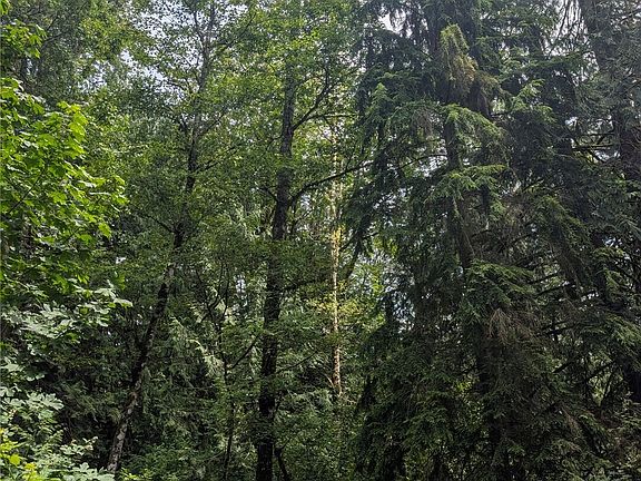 4th image of 25314 Ebey Mountain Road