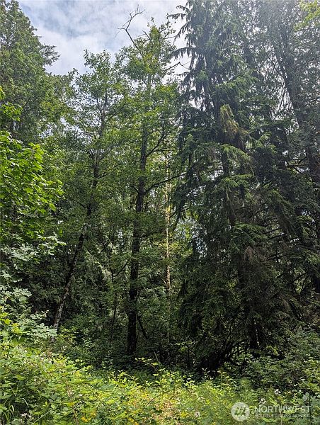 4th image of 25314 Ebey Mountain Road