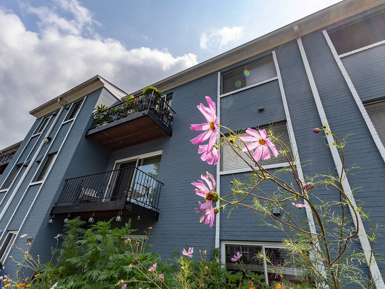 Arbor Lane — Photo 2