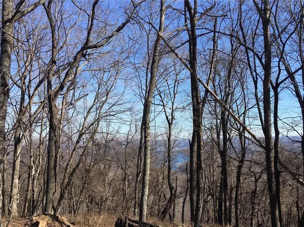 Lots 12 13 14 25 Lodge Dr, Garfield, AR 72732