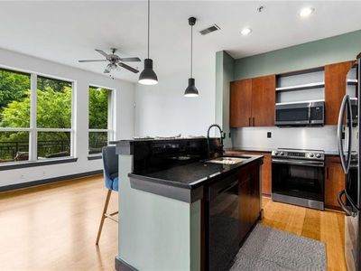 747 Ralph McGill Blvd NE UNIT 223, Atlanta, GA, 30312