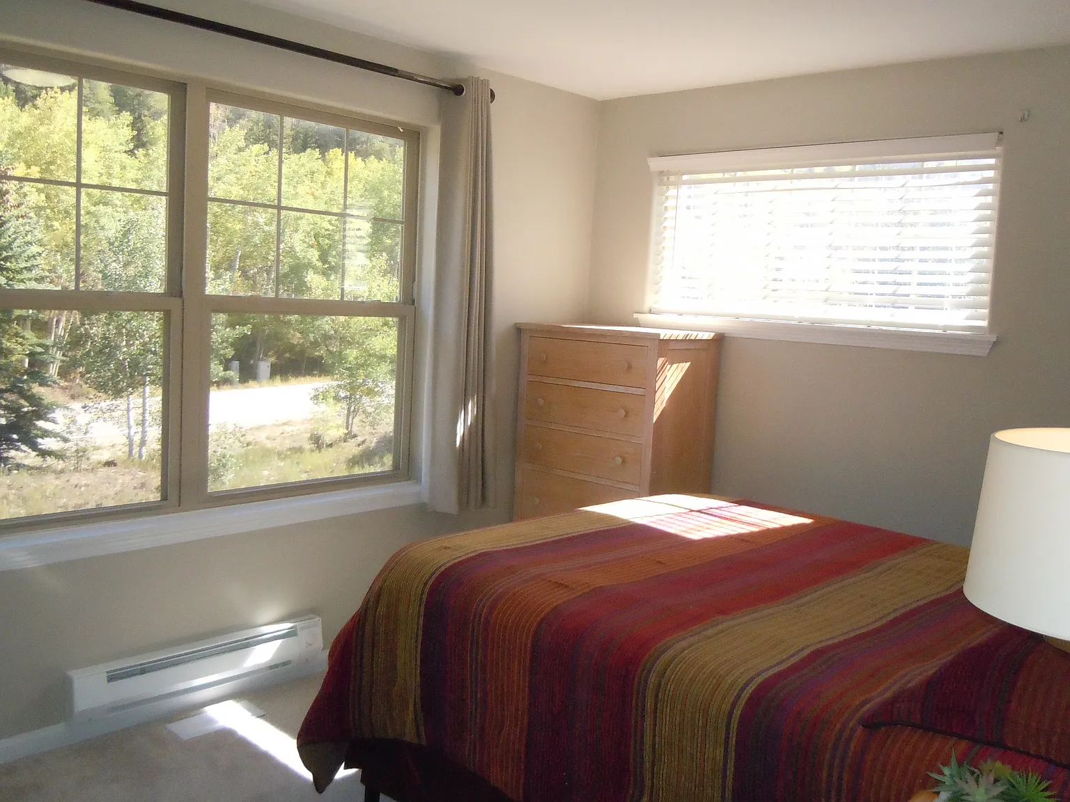 300B Locals Ln — Photo 3