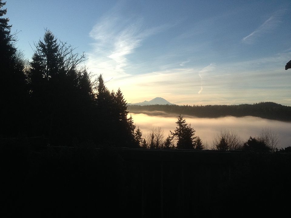 Southern Mt. Rainier view