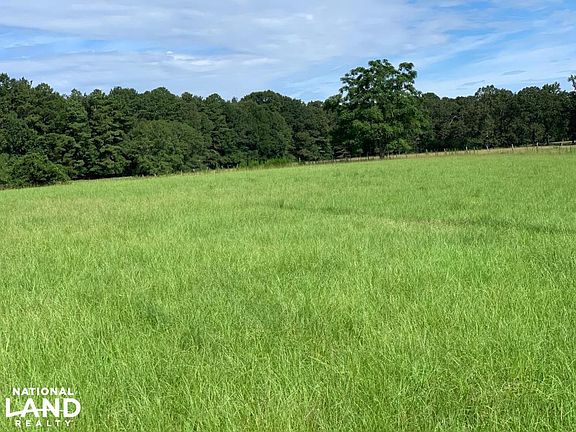 Open Hay Field bordering US Government Woods